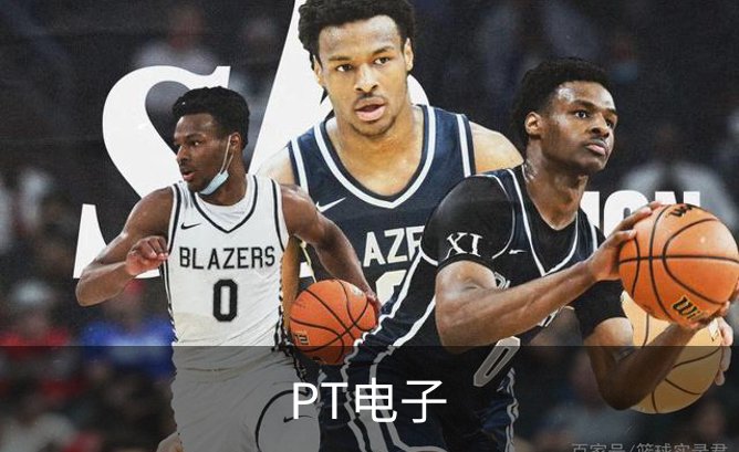 PT电子介绍